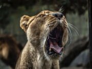 10 Ways to Make Extra Money as a Graphic Designer