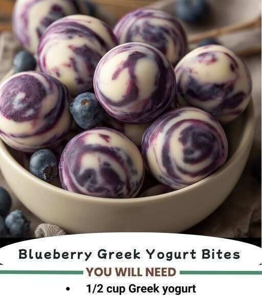 Blueberry Greek Yogurt Bite Blueberry Greek Yogurt Bite