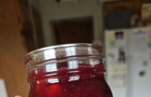 Christmas Jam Recipe Christmas Jam Recipe