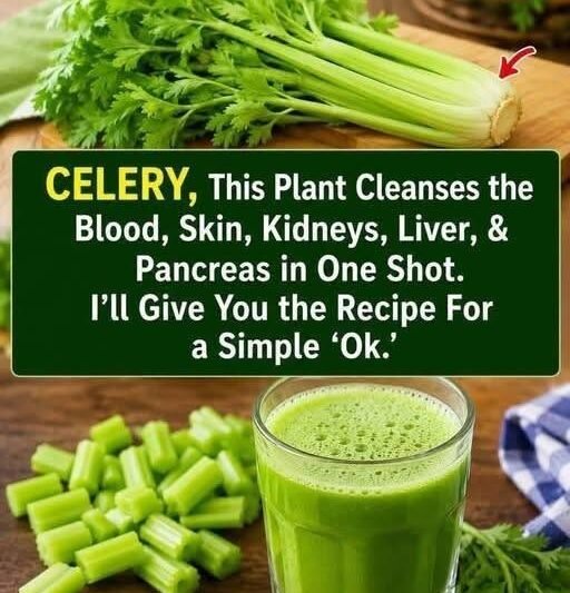 Fresh Celery Smoothie Recipe – Refreshing, Simple & Delicious